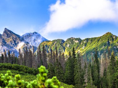 Polonya Tatra dağları yaz manzarası mavi gökyüzü ve beyaz bulutlar. Panoramik HDR kurgusu