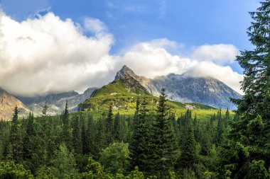 Polonya Tatra dağları yaz manzarası mavi gökyüzü ve beyaz bulutlar. HDR resmi