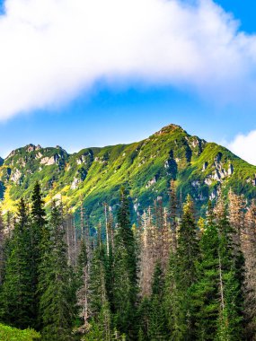 Polonya Tatra dağları yaz manzarası mavi gökyüzü ve beyaz bulutlar. Panoramik HDR kurgusu