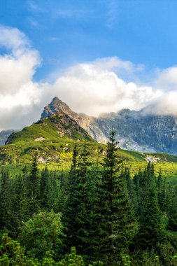 Polonya Tatra dağları yaz manzarası mavi gökyüzü ve beyaz bulutlar. HDR resmi