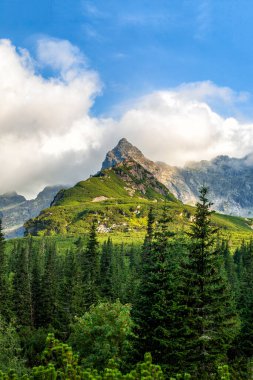 Polonya Tatra dağları yaz manzarası mavi gökyüzü ve beyaz bulutlar. HDR resmi