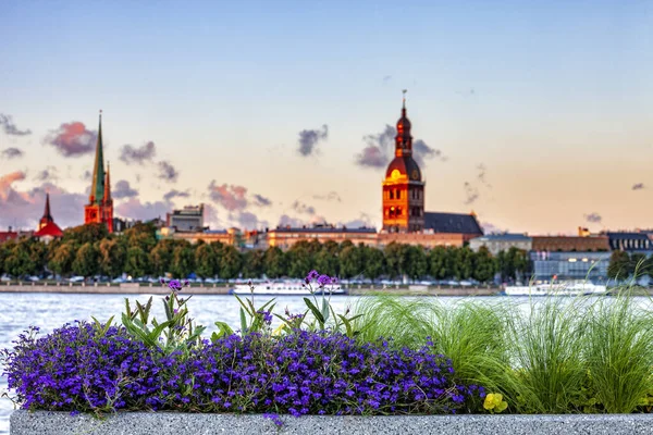 Pot Bunga Perkotaan Dengan Langit Kota Tua Riga Latar Belakang — Stok Foto