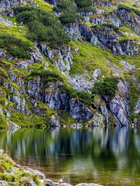 Polonya Tatra Ulusal Parkı 'nda küçük çamları ve küçük gölü olan dağ yamacı