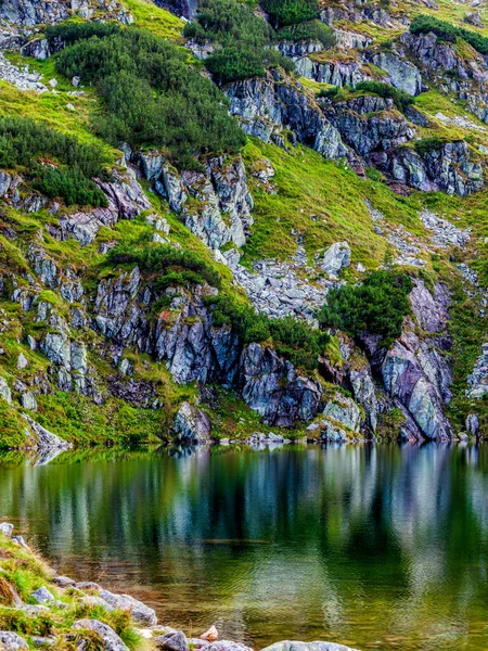 Горный Склон Маленькими Соснами Небольшим Озером Национальном Парке Польские Татры — стоковое фото
