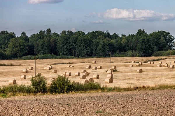 Jordbruksmark Med Ray Rolls Och Plowed Land — Stockfoto