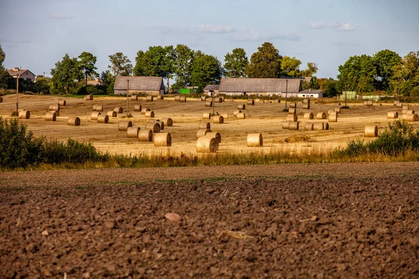 Jordbruksmark Med Ray Rolls Och Plowed Land Och Några Byggnader — Stockfoto