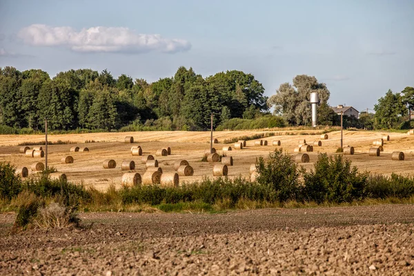 Jordbruksmark Med Ray Rolls Och Plowed Land Och Några Byggnader — Stockfoto