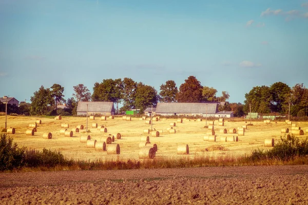 Farmland Ray Rolls Plowed Land Some Buildings — Stock Photo, Image