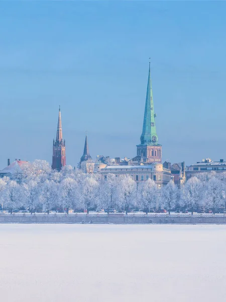 Vinterskyline Lettlands Huvudstad Riga Gamla Stan Med Frosttäckta Träd — Stockfoto