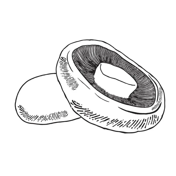 Champignon Dessin Main Isolé Sur Fond Blanc Format Vectoriel — Image vectorielle