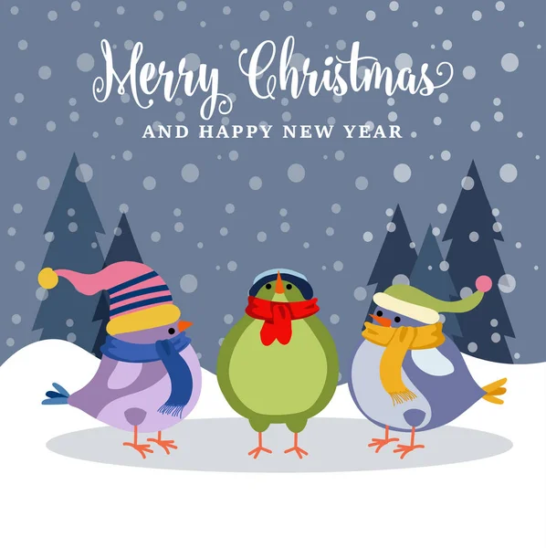 Piękne Kartki Świąteczne Ptakami Boże Narodzenie Plakat Wektor — Wektor stockowy