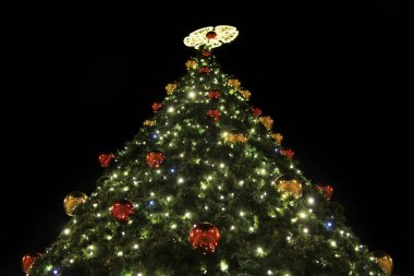 Noel ağacı Ostrava City Çek Cumhuriyeti