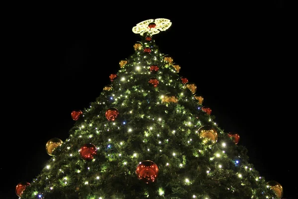 Noel ağacı Ostrava City Çek Cumhuriyeti