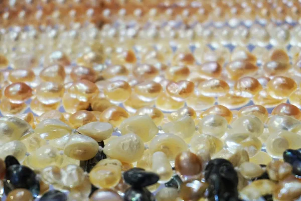 inci kolye doku güzel lüks arka plan olarak