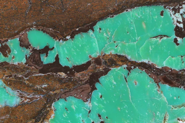 Chrysoprase mineral doku çok güzel doğal arka plan olarak