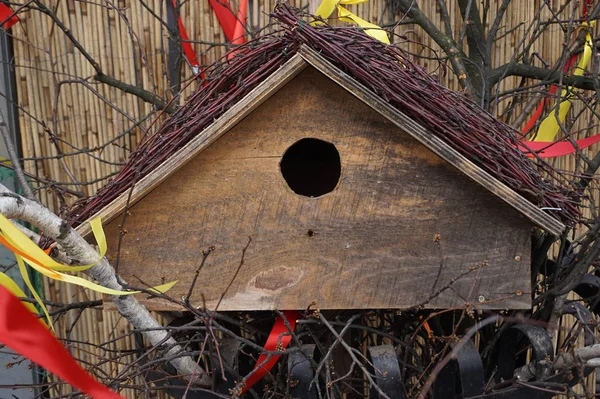 Piccolo Uccello Casa Come Sfondo Molto Bello — Foto Stock