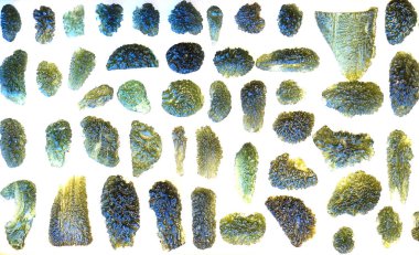 çok güzel doğal arka planı olarak Moldavite mineral koleksiyon