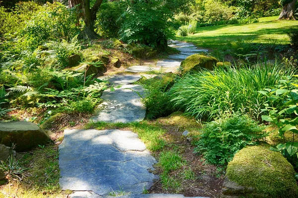 Steinweg Park Als Schöner Hintergrund — Stockfoto