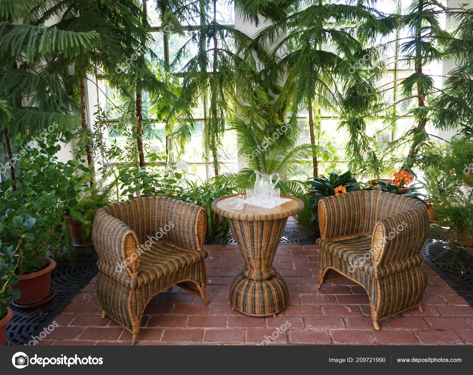 Get Small Winter Garden Tropical Plants Nice Background Stock Photo Free Get Wallpaper Small Winter Garden Tropical Plants Nice Background Stock Photo For Android