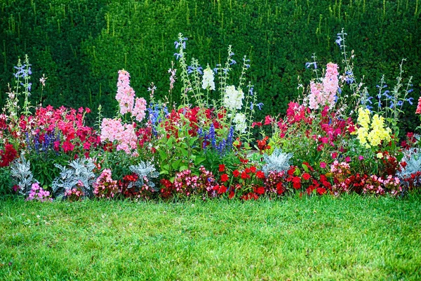 Hermoso Jardín Flores Con Muchas Plantas Diferentes — Foto de Stock