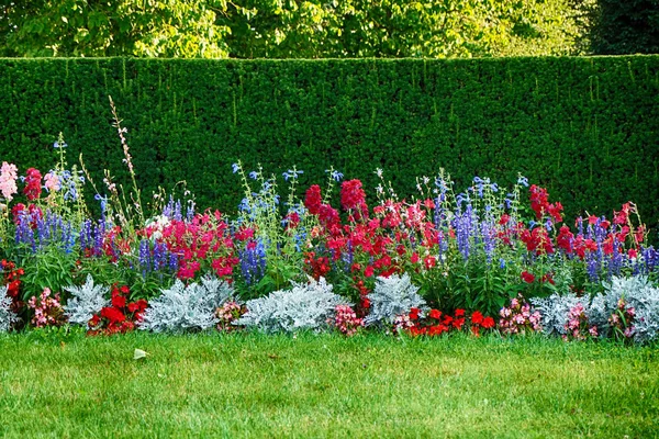 Hermoso Jardín Flores Con Muchas Plantas Diferentes — Foto de Stock