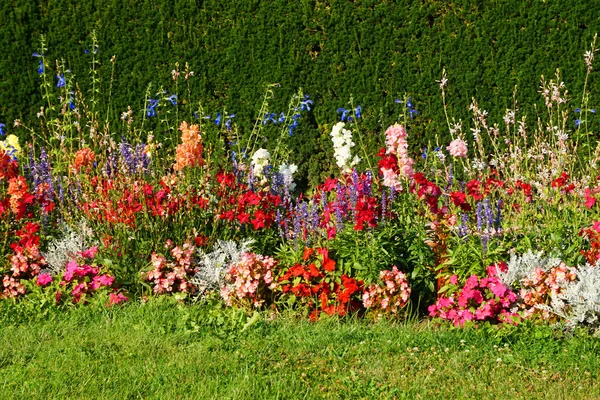 Belo Jardim Flores Com Muitas Plantas Diferentes — Fotografia de Stock