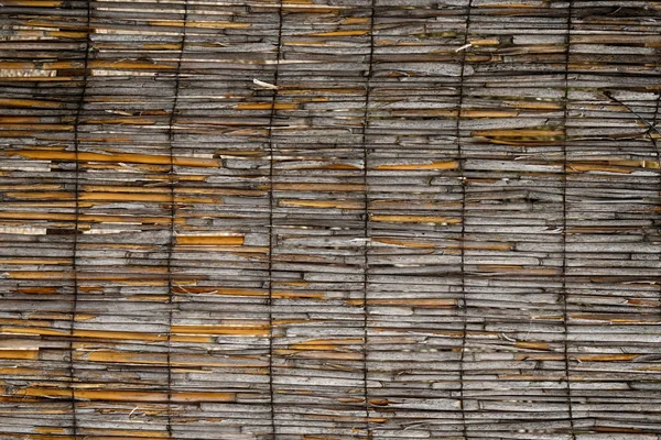 Trockene Bambus Textur Als Sehr Schöner Natürlicher Hintergrund — Stockfoto