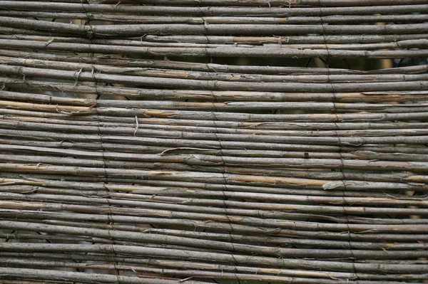 Bambusz Textúra Száraz Nagyon Szép Természeti Háttérként — Stock Fotó