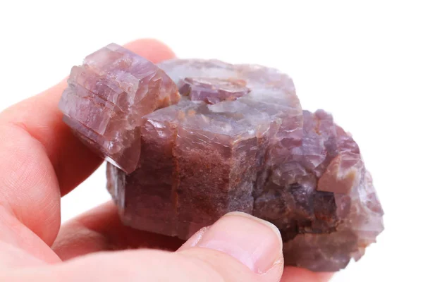 白い背景に分離された紫アラゴナイト鉱物 — ストック写真