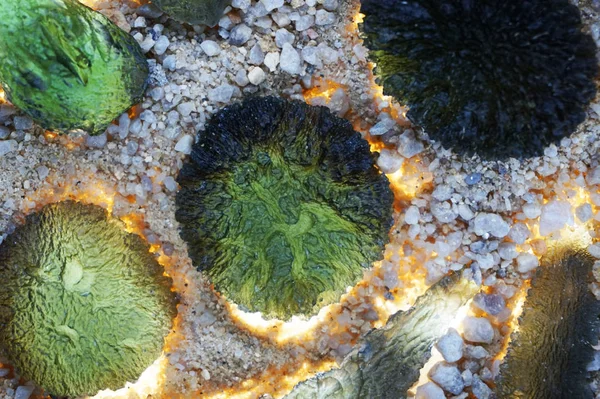 Mengumpulkan Mineral Moldavite Sebagai Latar Belakang Alam Yang Bagus — Stok Foto