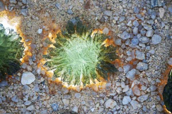 Coleção Minerais Moldavita Como Fundo Natural Agradável — Fotografia de Stock