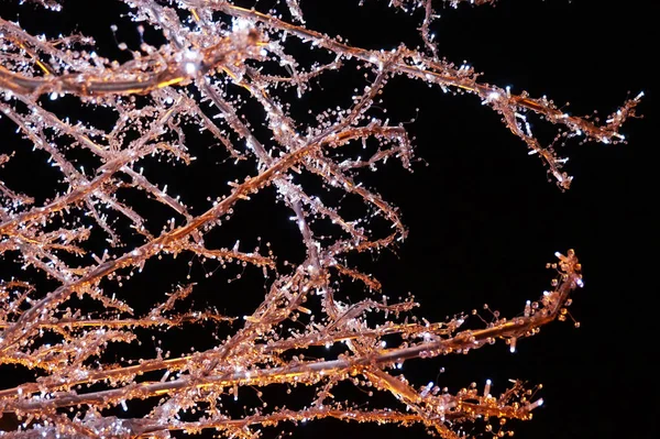 led ışıkları ile ağaç olarak güzel Noel dekorasyon