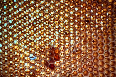 Arı balmumu doku çok güzel doğal arka plan olarak