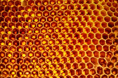 Arı balmumu doku çok güzel doğal arka plan olarak