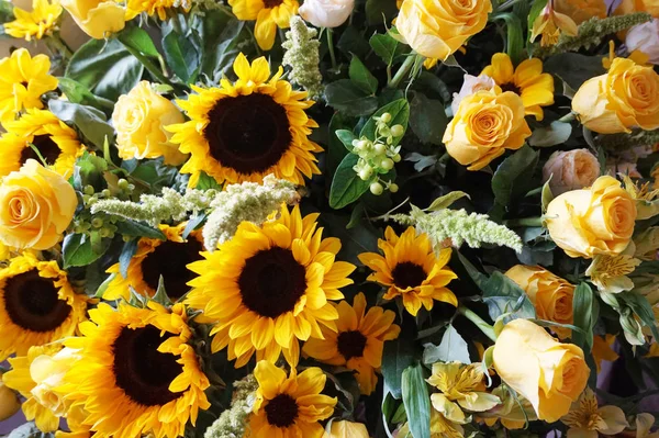 Yellow Sunflower Texture Very Nice Natural Background — Stock Photo, Image