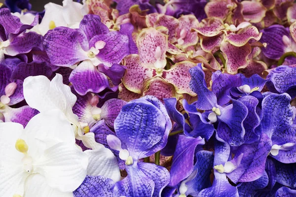 Struttura Blu Del Orchid Plastica Come Sfondo Piacevole — Foto Stock