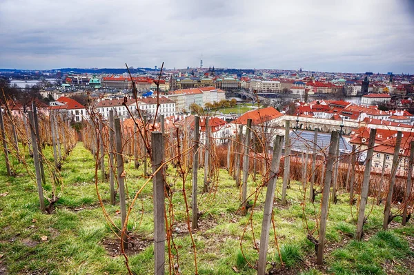 Çok Güzel Görünümü Olarak Eski Kale Gotik Prag Dan — Stok fotoğraf
