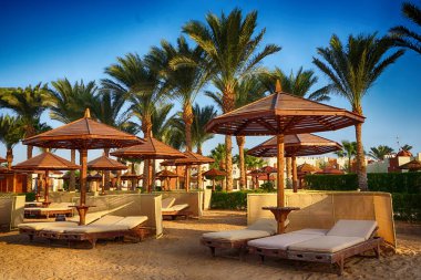 Mısır 'daki plaj çok güzel bir arka plan.