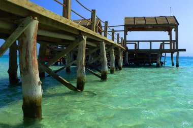 Güzellik deniz köstebek wood Mısır'dan