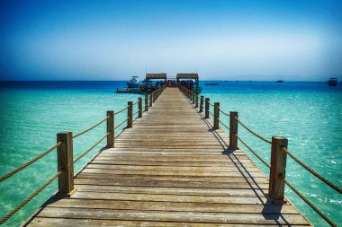 Güzellik deniz köstebek wood Mısır'dan