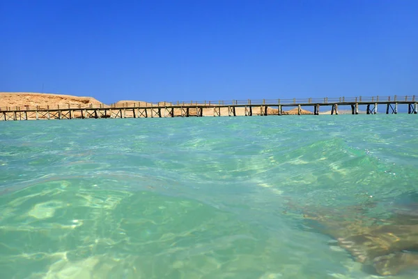 Skönhet Havet Mullvad Från Trä Egypten — Stockfoto