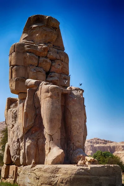 Kolosser Memnon Massiv Sten Statyer Farao Amenhotep Iii — Stockfoto