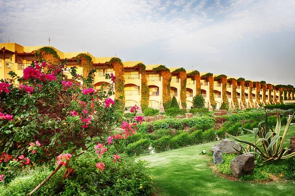 Giardino Egiziano Hotel Come Sfondo Molto Bella Architettura — Foto Stock