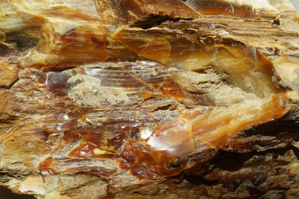 Trä Opal Mineral Textur Som Fin Naturlig Bakgrund — Stockfoto