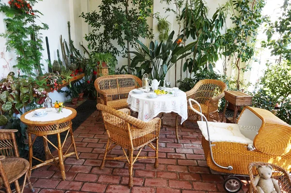 Pequeño Jardín Invierno Con Plantas Tropicales Como Fondo Agradable —  Fotos de Stock