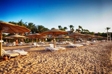 Mısır 'daki plaj çok güzel bir arka plan.