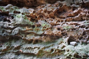 Eski gridstone doku çok güzel doğal arka plan olarak