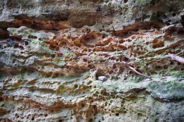 Eski gridstone doku çok güzel doğal arka plan olarak