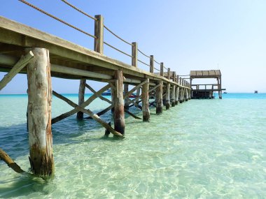 Güzellik deniz köstebek wood Mısır'dan