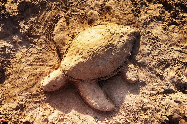 Schildkröte Aus Dem Meeressand Strand — Stockfoto